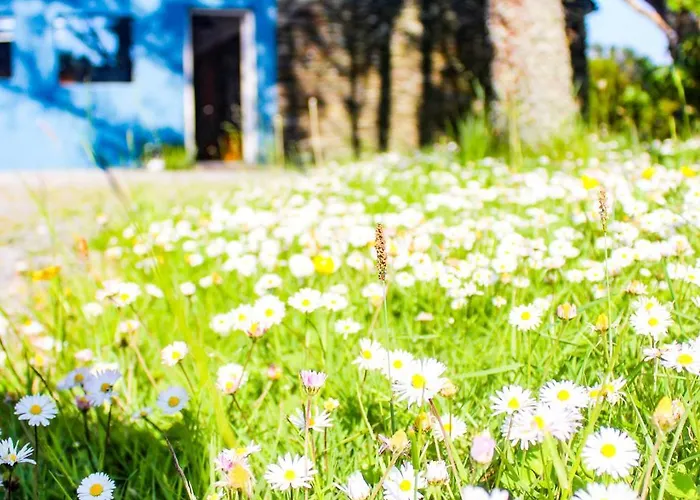 Double Decker Bus At Valentia Island Escape * Chapeltown